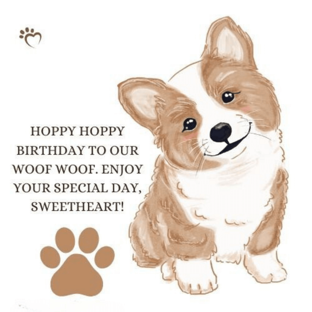 Cute-birthday-wish-for-cute-dog.