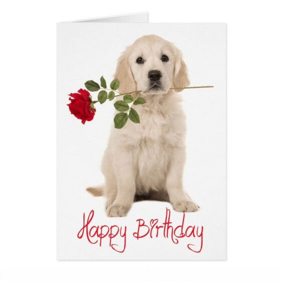 Happy-Birthday-Wishes-for-Dog-having-flowers-in-her-mouth