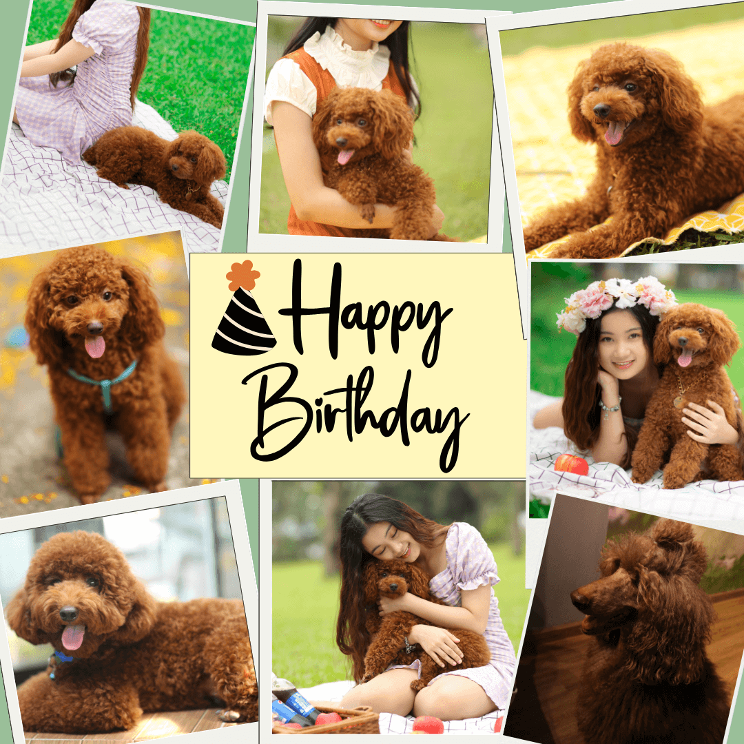 Happy-Birthday-Wishes-for-Dog-with-furry-brown-collage-of-images