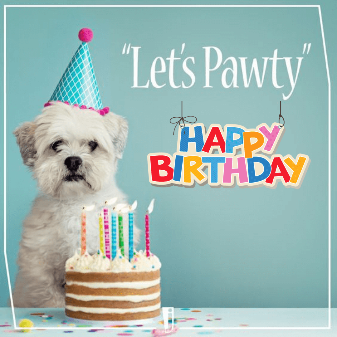 Invitation-for-dog-birthday-party